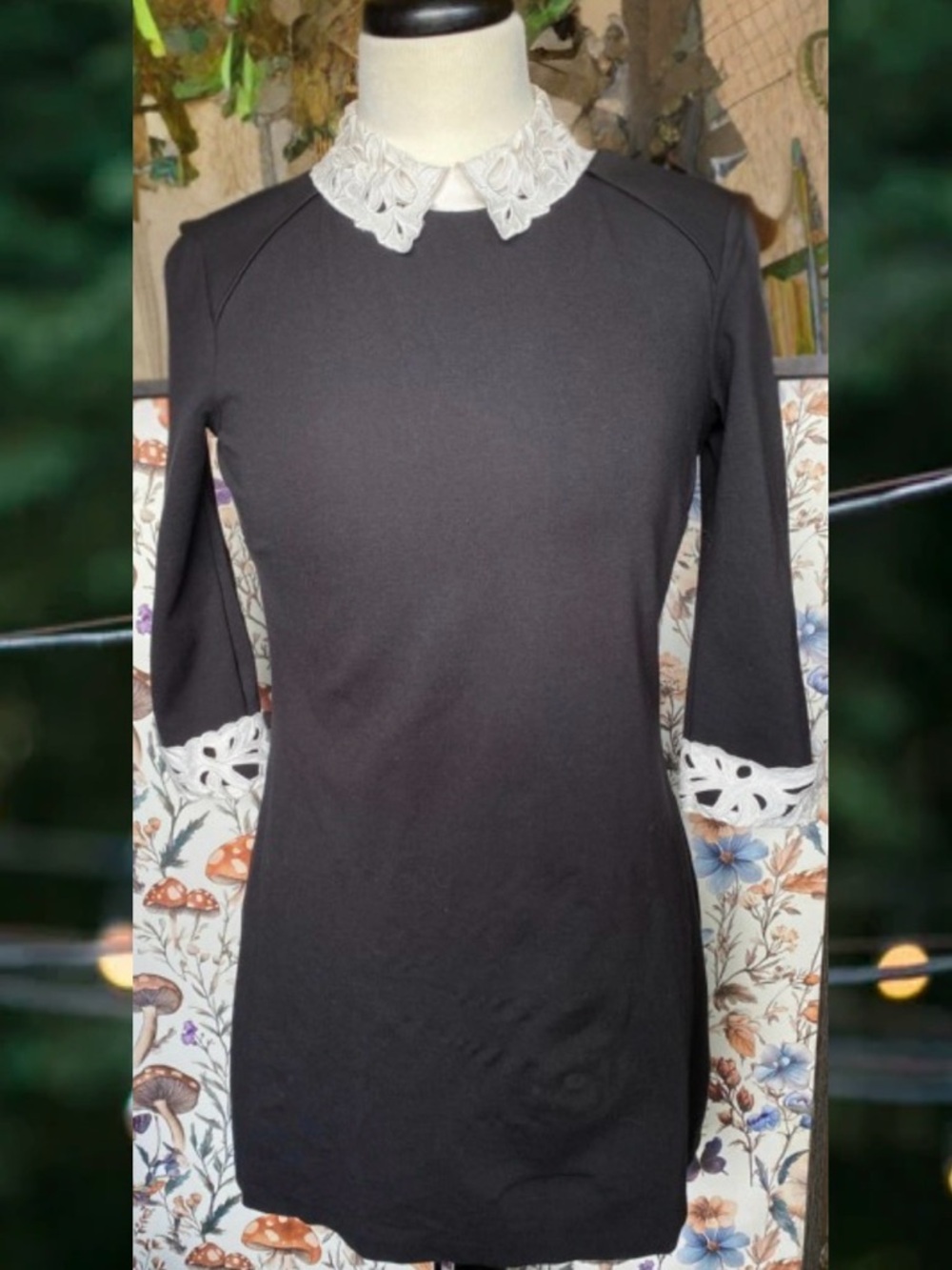 Ted Baker London Black Midi Dress with White Lace Collar & Cuffs